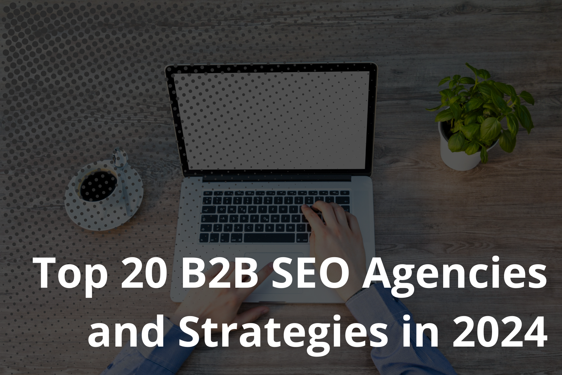 You are currently viewing Best B2B SEO Agencies and Strategies in 2024